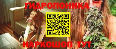 соль ск Новодвинск