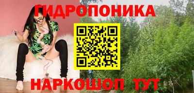 соль ск Новодвинск