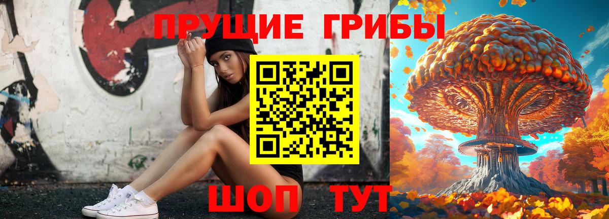 Псилоцибиновые грибы мицелий Урюпинск